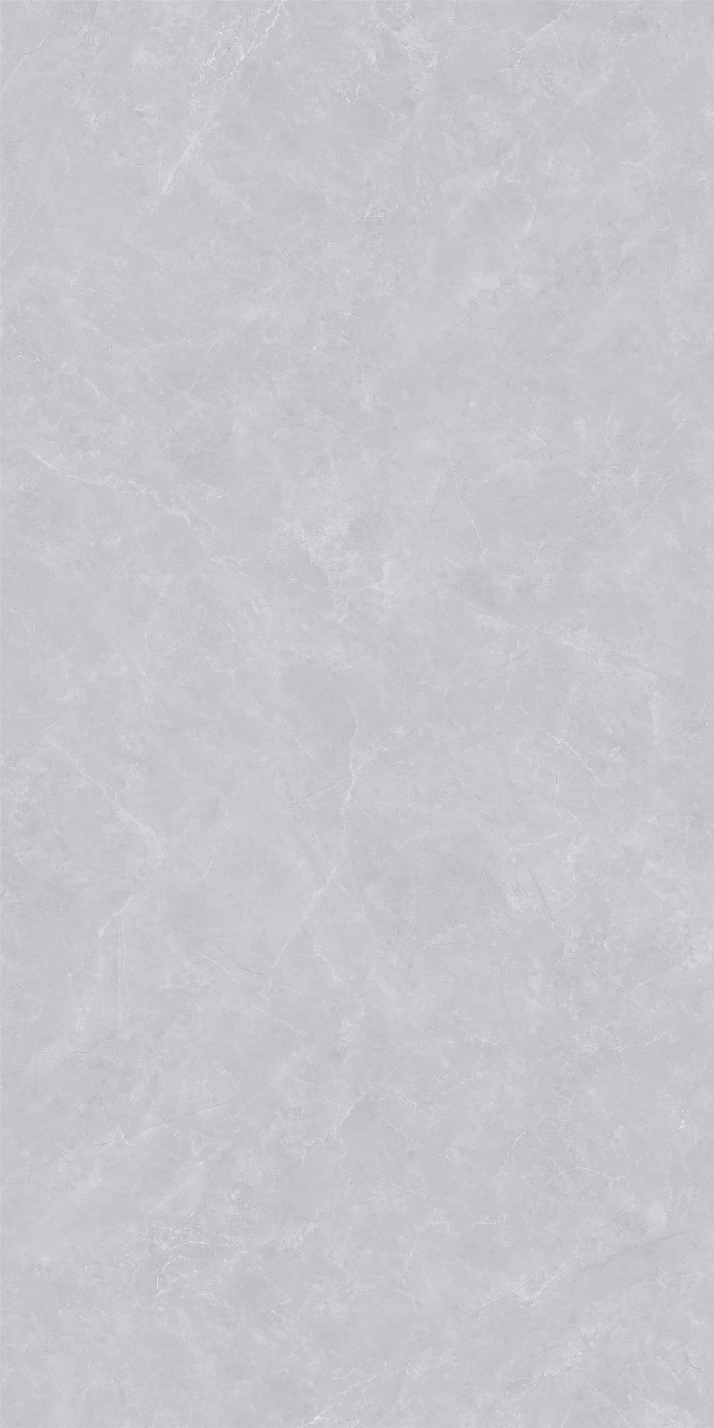 FV18942L_02