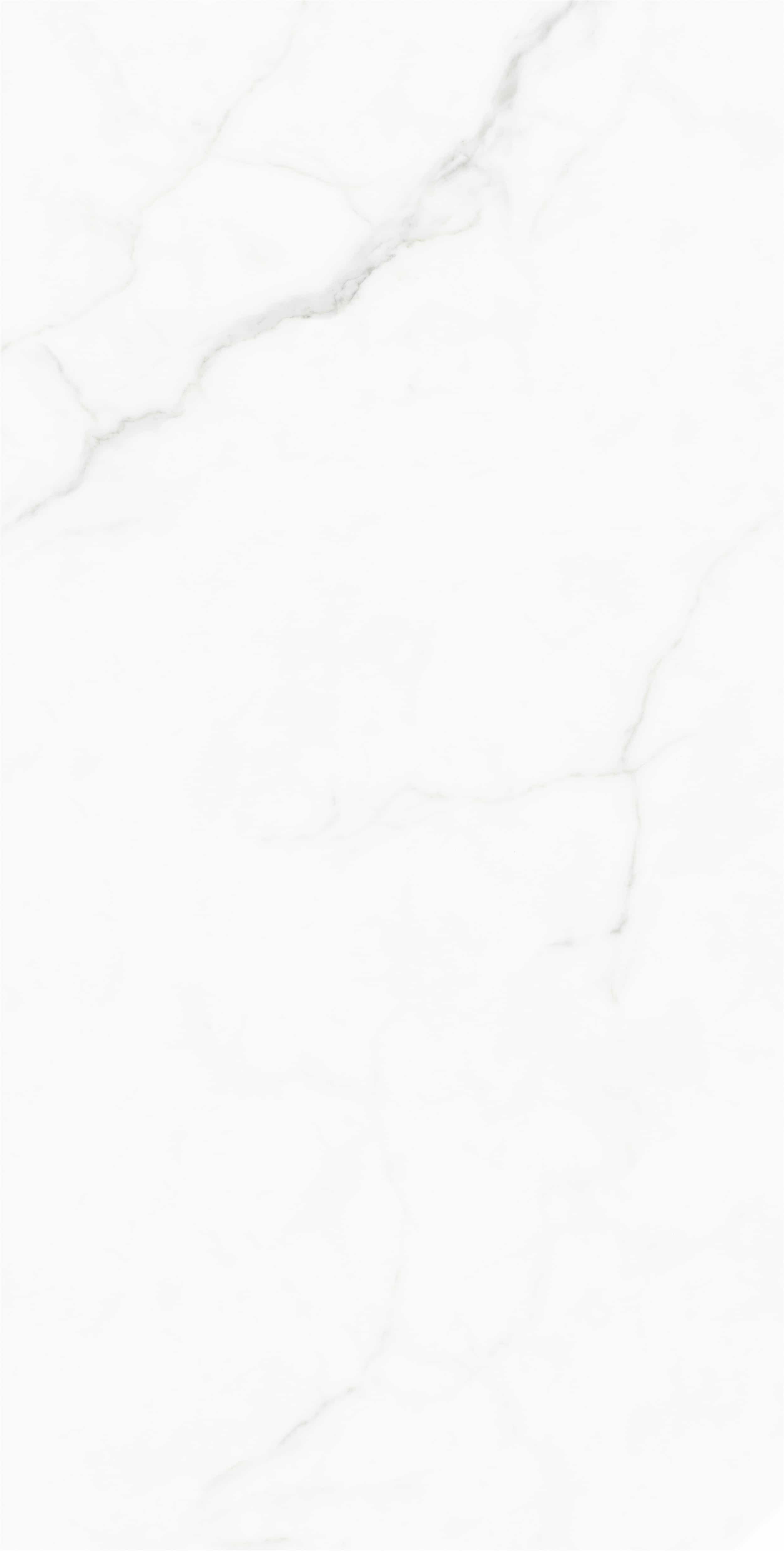 FV18945L_06