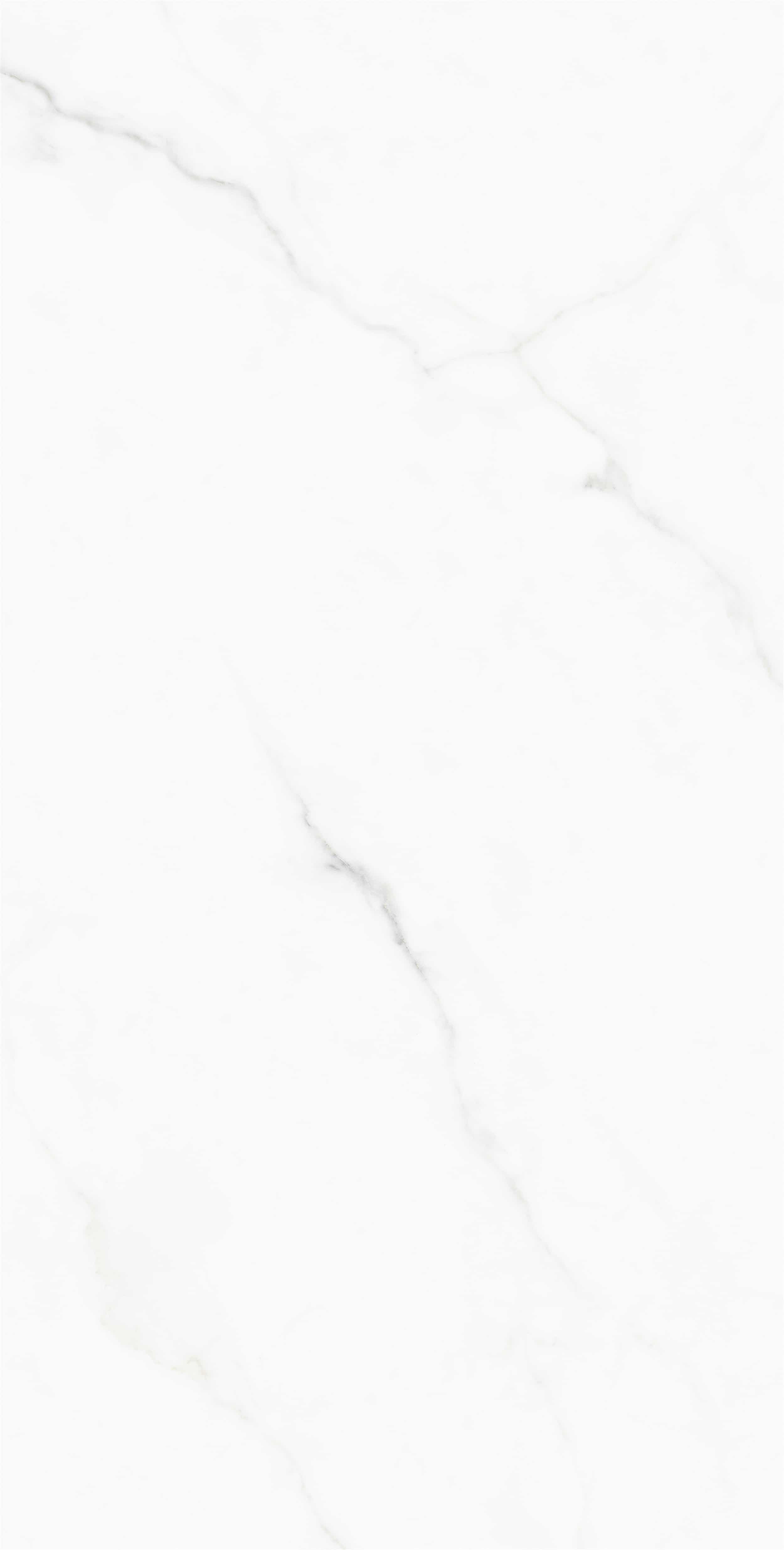 FV18945L_04