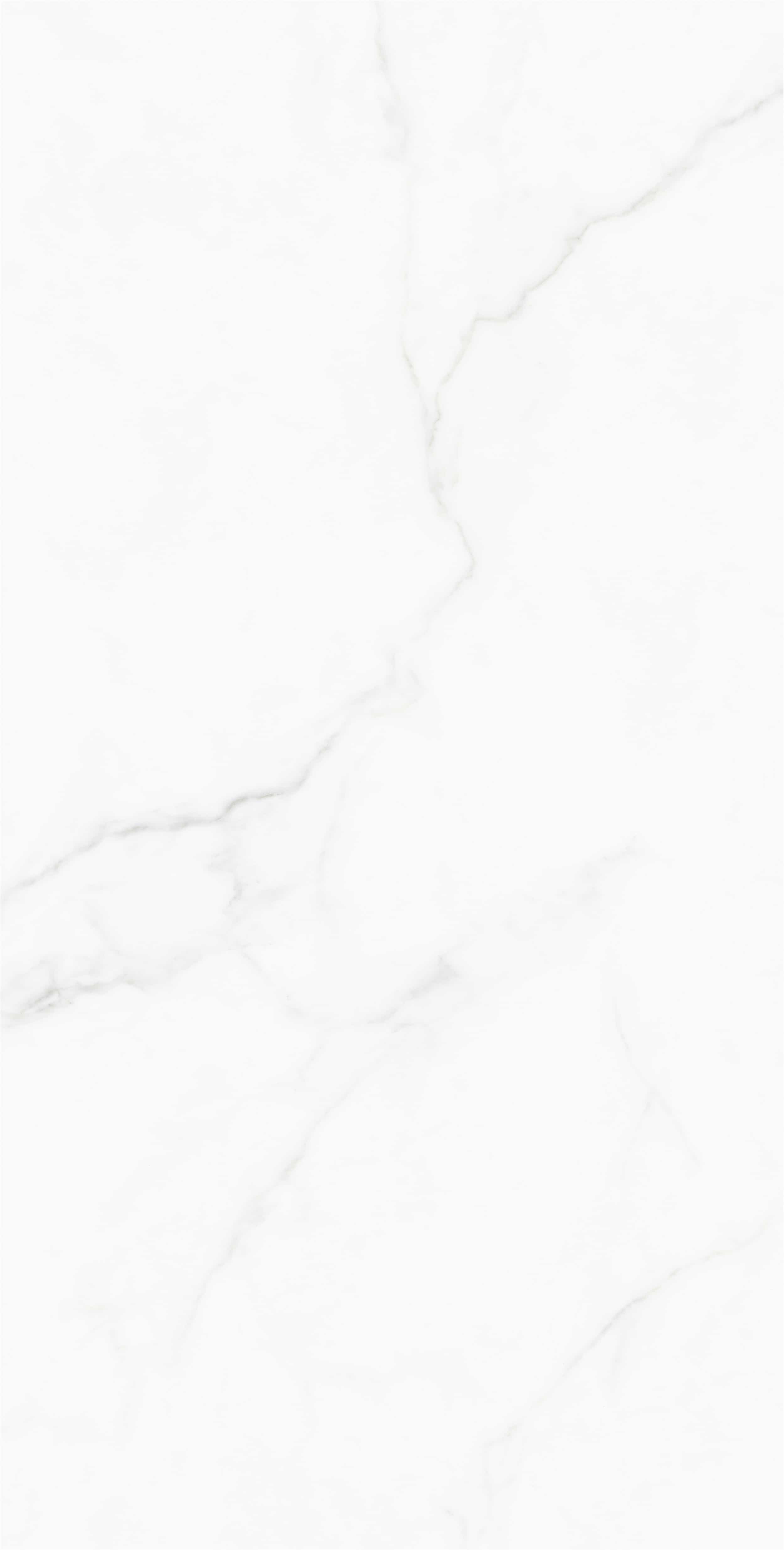 FV18945L_01